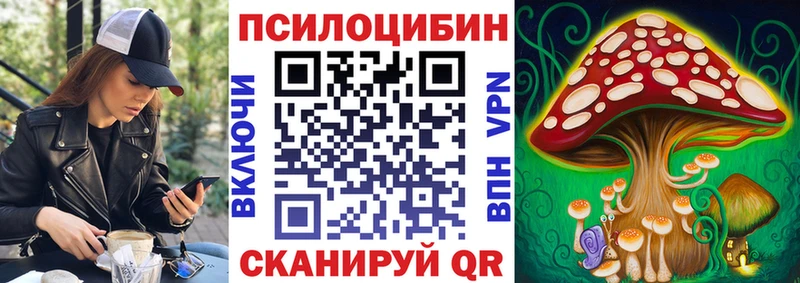 Купить где  Кандалакша  Галлюциногенные грибы Magic Shrooms 