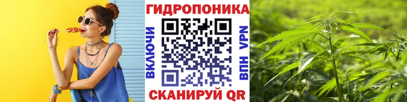 Купить  Кандалакша  Каннабис ГИДРОПОН 